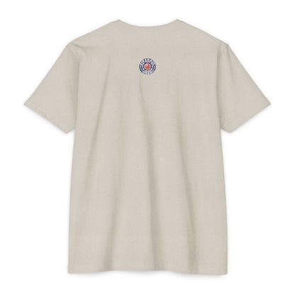 Painted Patriotic Skull - T-shirt